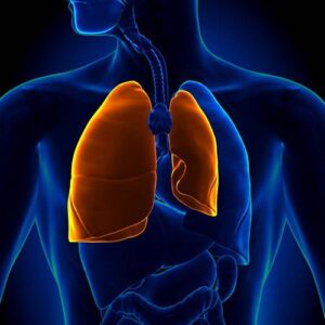 Lung Function Test