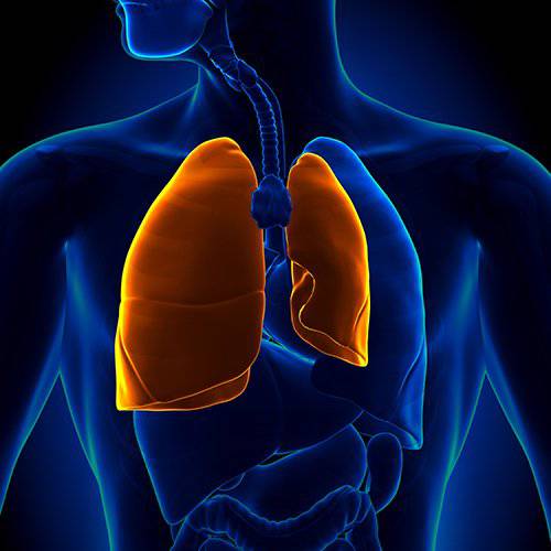 Lung Function Test